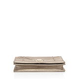 Dior Metallic Calfskin Diorama Wallet on Chain (SHF-fyOwgL)