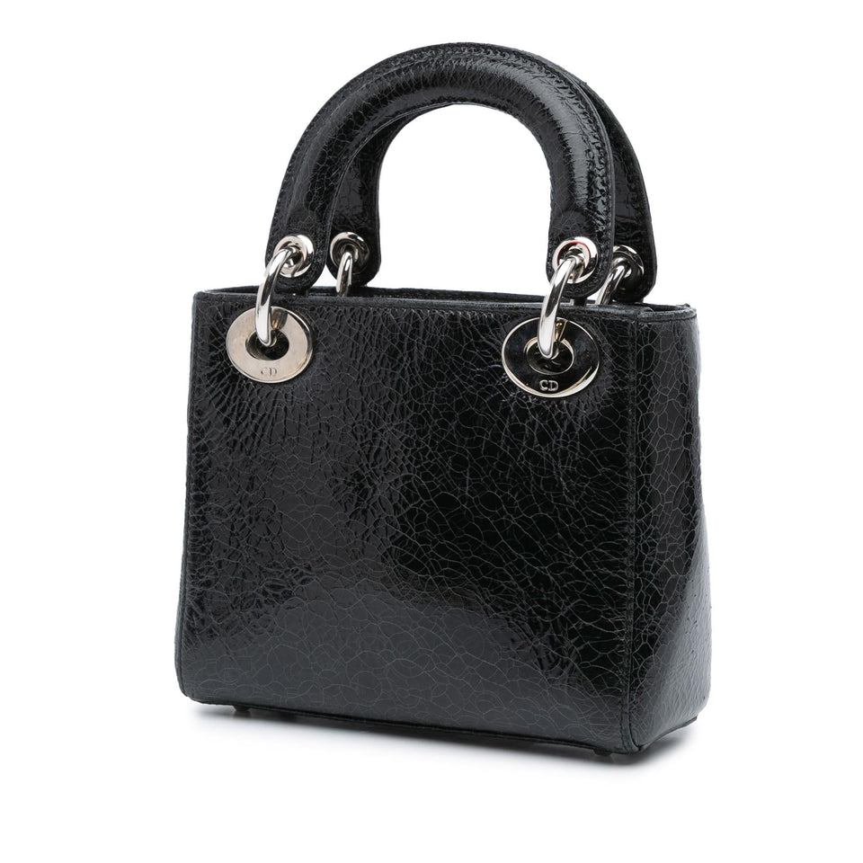 Dior Mini Ceramic Effect Deerskin Jeweled Swan Lady Dior