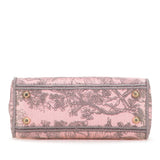 Dior Mini Embroidered Canvas Toile De Jouy Lady D Lite