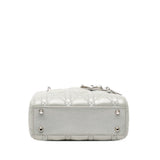 Dior Mini Iridescent Lambskin Cannage Lady Dior