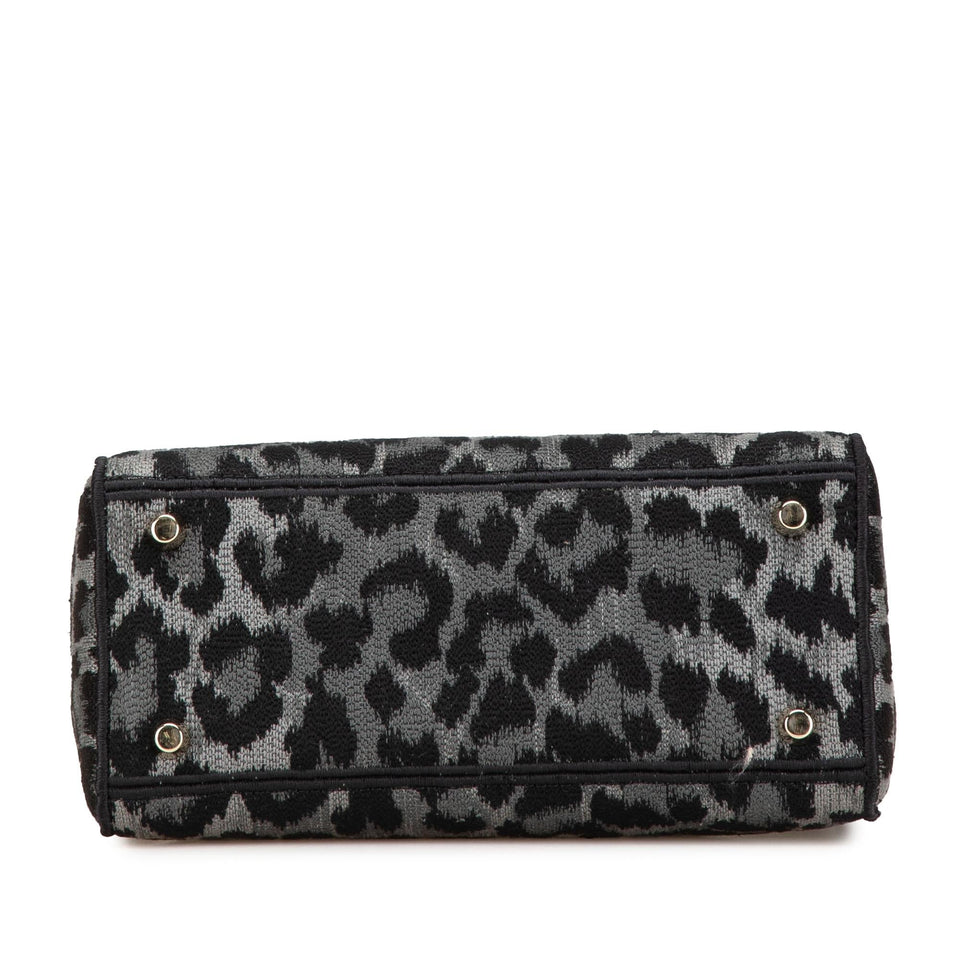 Dior Mizza Medium Embroidered Canvas Leopard Lady D Lite