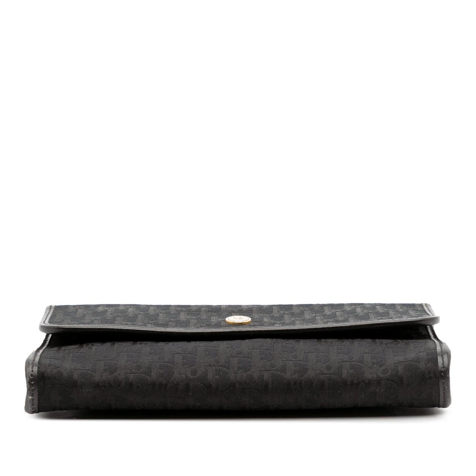 Dior Oblique Canvas Chain Crossbody