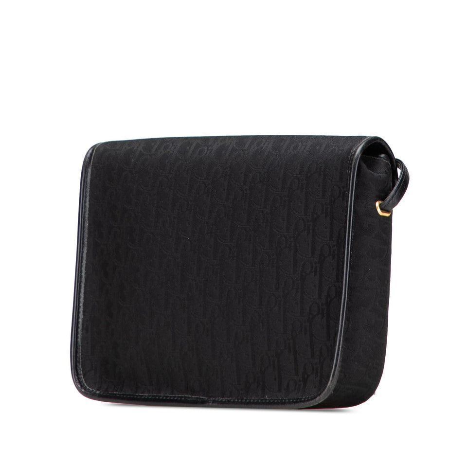 Dior Oblique Canvas Flap Crossbody