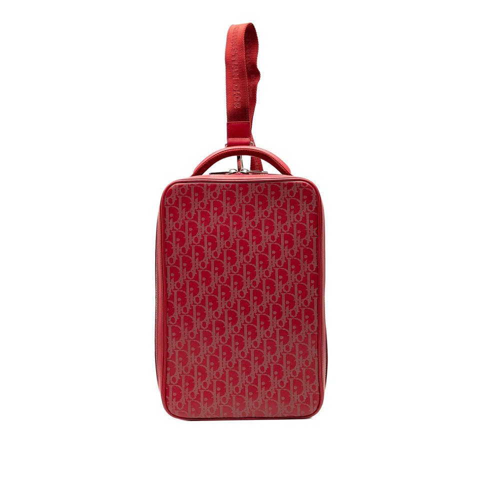 Dior Oblique Perforated Calfskin Galaxy World Tour Shoe Case