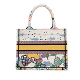 Dior Small Ciel de Reve Book Tote (SHG-TWrsQK)