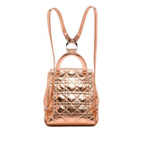 Dior Small Metallic Cannage Stardust Backpack (SHG-Ep0Yhg)