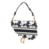 Dior Stars Embroidered Canvas Saddle Bag (SHG-MiPqVc)