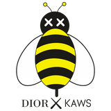 Dior X KAWS BEE LOGO MEN'S SOLID T-SHIRT