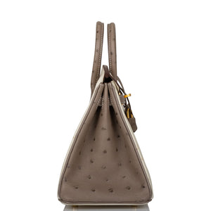 Hermes Birkin 25 Beton and Gris Asphalte Ostrich Brushed Gold Hardware