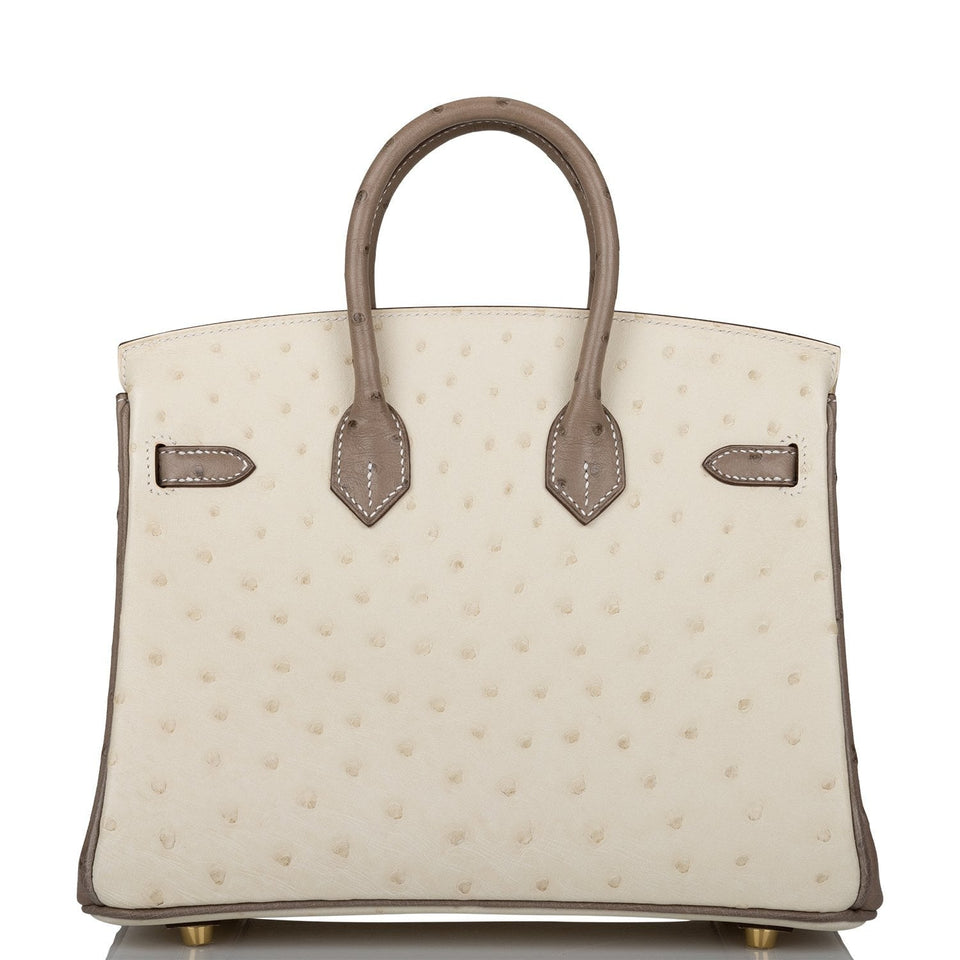 Hermes Birkin 25 Beton and Gris Asphalte Ostrich Brushed Gold Hardware