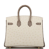 Hermes Birkin 25 Beton and Gris Asphalte Ostrich Brushed Gold Hardware