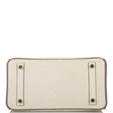 Hermes Birkin 25 Beton and Gris Asphalte Ostrich Brushed Gold Hardware