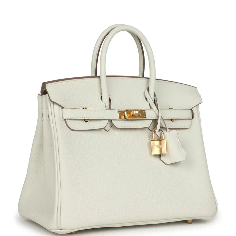 Hermes Birkin 25 Leather Gold Hardware Handbag Bag for Women (White Matt)