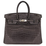 Hermes25cm Birkin Graphite Matte Niloticus Crocodile Palladium Hardware