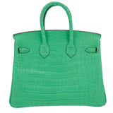 Hermes25cm Birkin Vert Comics Matte Alligator Palladium Hardware