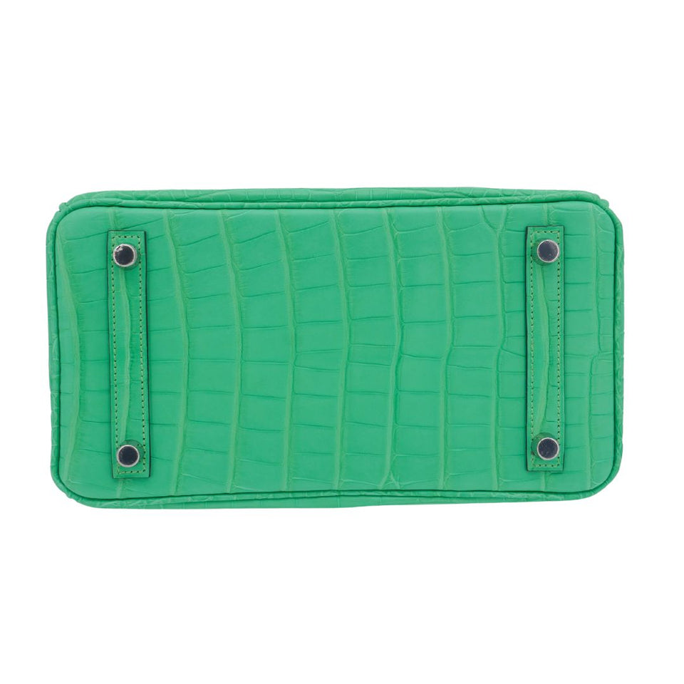 Hermes25cm Birkin Vert Comics Matte Alligator Palladium Hardware