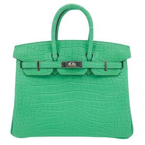 Hermes25cm Birkin Vert Comics Matte Alligator Palladium Hardware