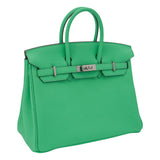 Hermes25cm Birkin Vert Comics Togo Leather Palladium Hardware