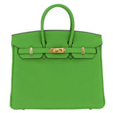 Hermes25cm Birkin Vert Yucca Togo Leather Gold Hardware
