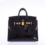 Hermes Birkin 20 Sellier Black Varanus Niloticus Lizard Gold Hardware