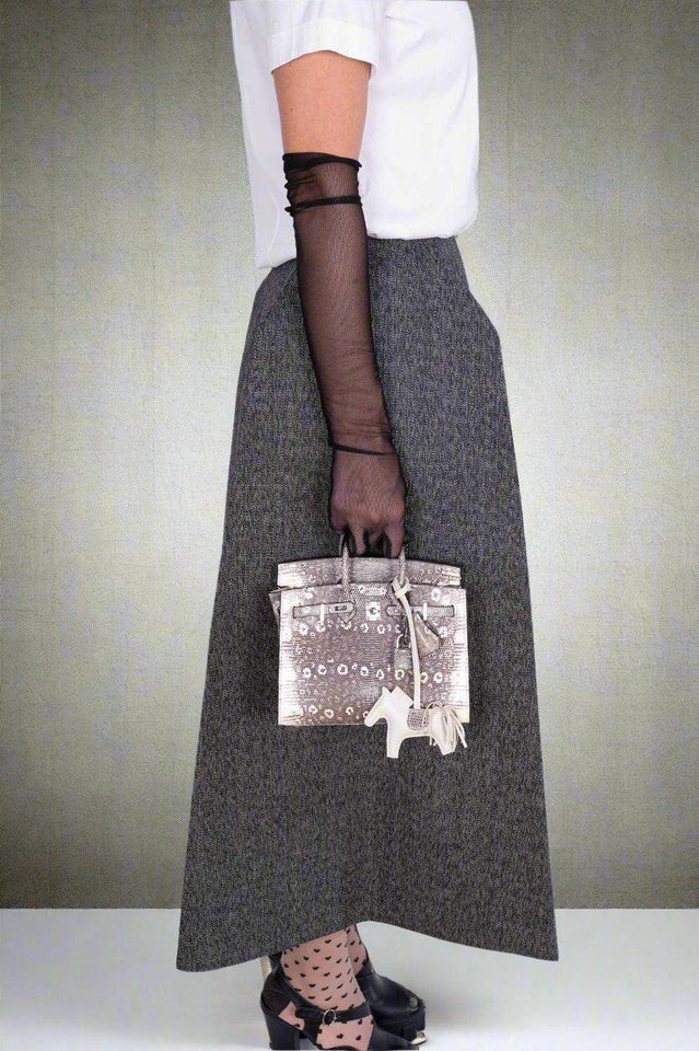 Hermes Birkin 20 Sellier Ombré Varanus Salvator Lizard Palladium Hardware