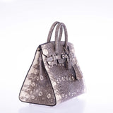 Hermes Birkin 20 Sellier Ombré Varanus Salvator Lizard Palladium Hardware