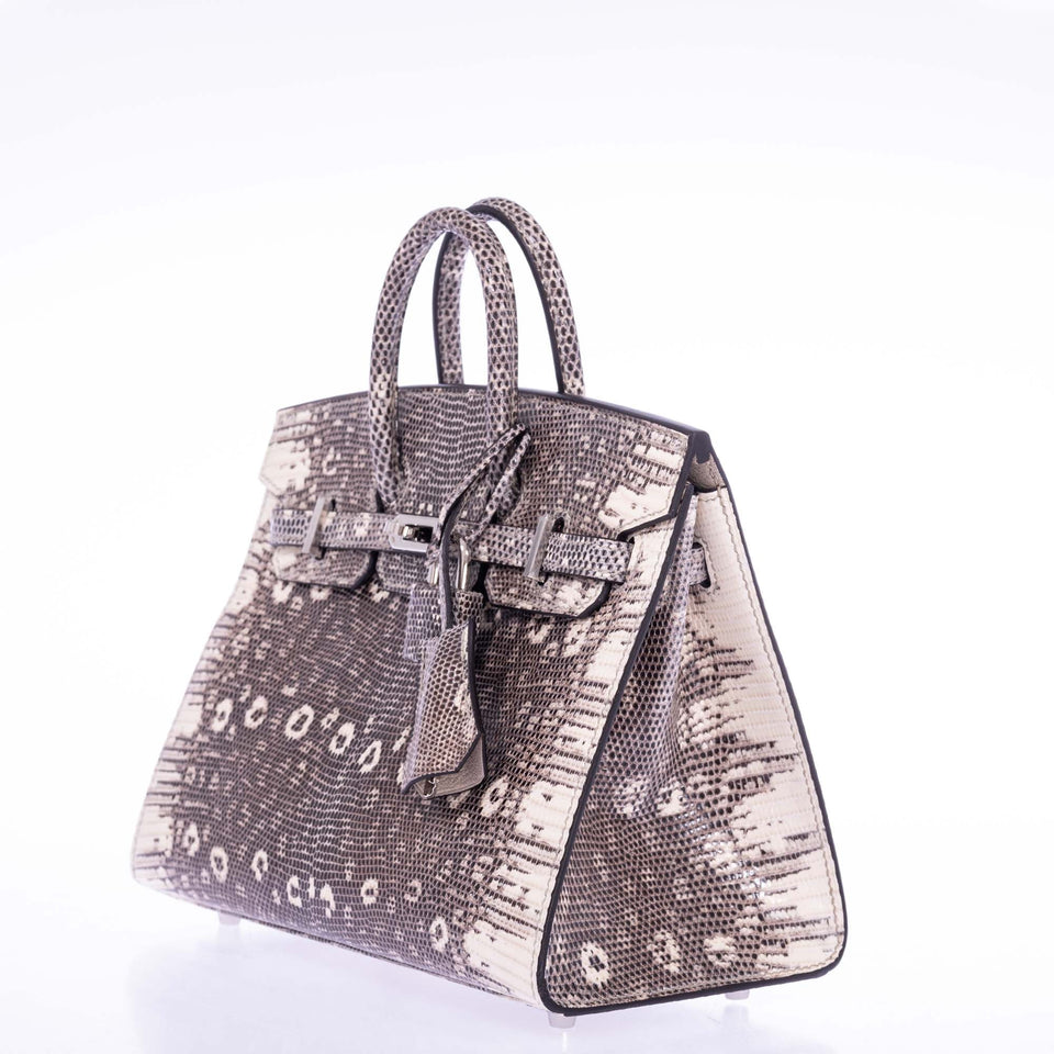 Hermes Birkin 20 Sellier Ombré Varanus Salvator Lizard Palladium Hardware