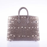 Hermes Birkin 20 Sellier Ombré Varanus Salvator Lizard Palladium Hardware