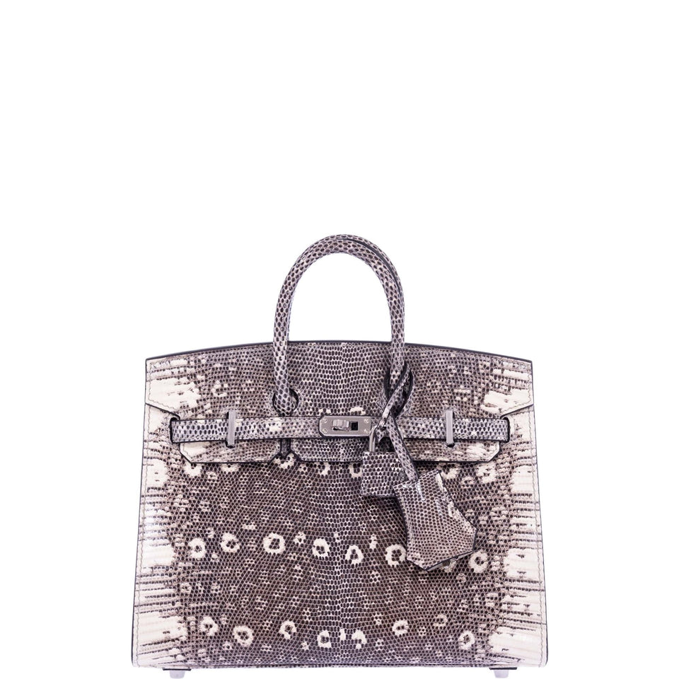 Hermes Birkin 20 Sellier Ombré Varanus Salvator Lizard Palladium Hardware