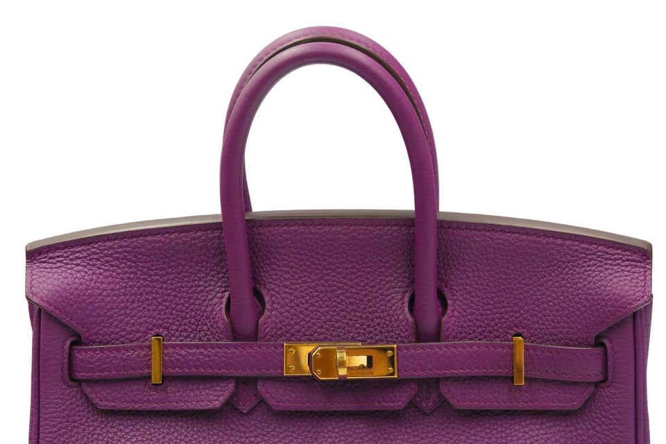 Hermes Birkin 25 Anemone Togo with Gold Hardware