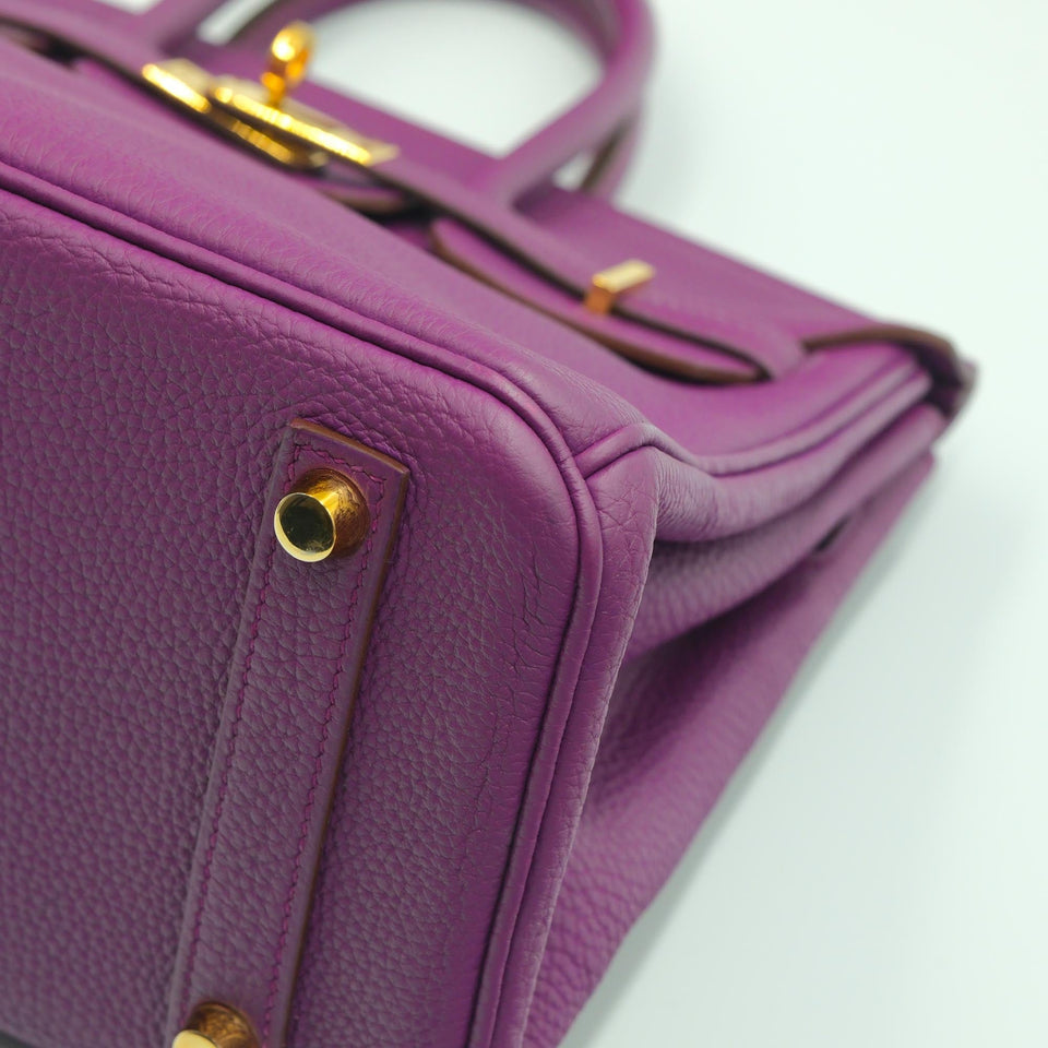 Hermes Birkin 25 Anemone Togo with Gold Hardware