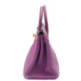 Hermes Birkin 25 Anemone Togo with Gold Hardware
