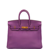 Hermes Birkin 25 Anemone Togo with Gold Hardware