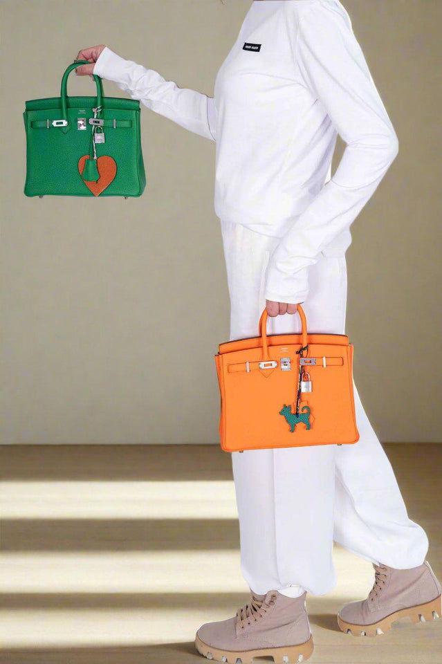 Hermes Birkin 25 Bambou Togo Palladium Hardware