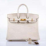 Hermes Birkin 25 Beton Matte Alligator Gold Hardware