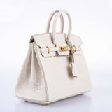 Hermes Birkin 25 Beton Matte Alligator Gold Hardware