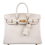 Hermes Birkin 25 Beton Matte Alligator Gold Hardware
