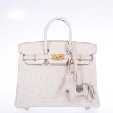 Hermes Birkin 25 Beton Ostrich Gold Hardware
