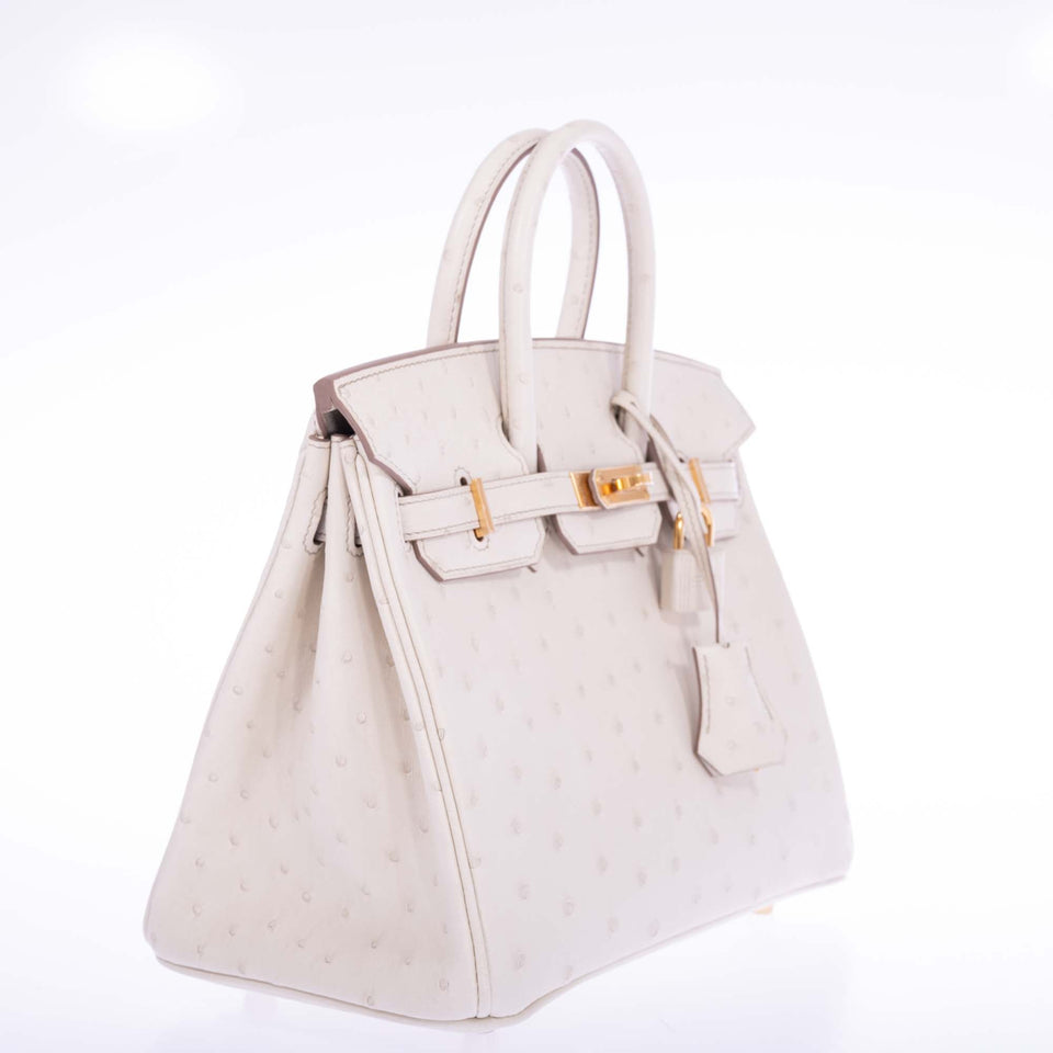 Hermes Birkin 25 Beton Ostrich Gold Hardware
