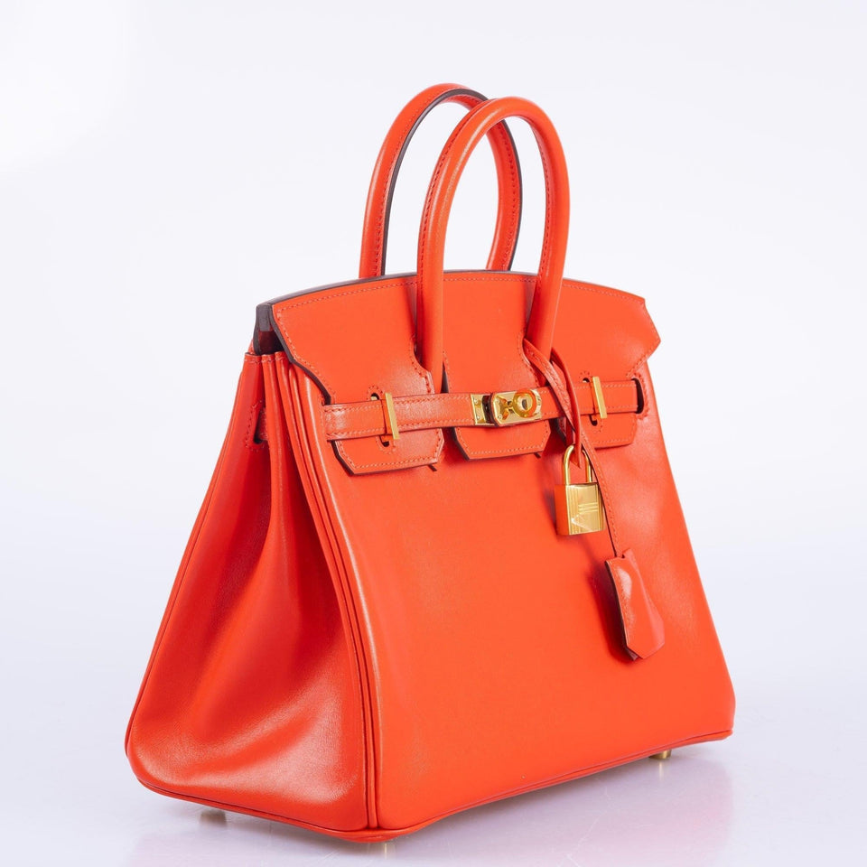 Hermes Birkin 25 Capucine Tadelakt leather Gold Hardware