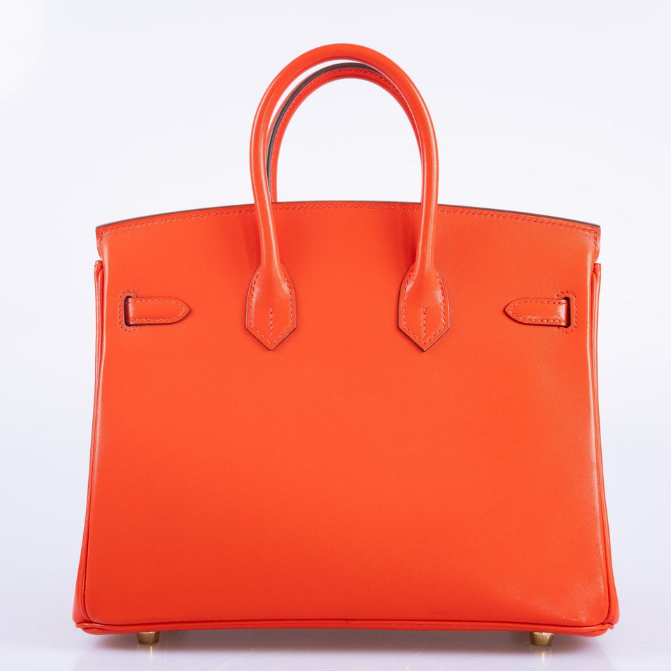 Hermes Birkin 25 Capucine Tadelakt leather Gold Hardware