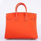 Hermes Birkin 25 Capucine Tadelakt leather Gold Hardware