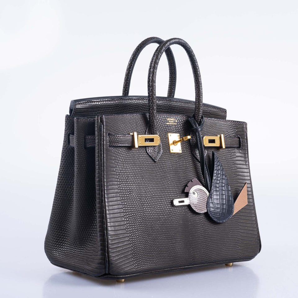 Hermes Birkin 25 Ebene Matte Salvator Lizard Gold Hardware