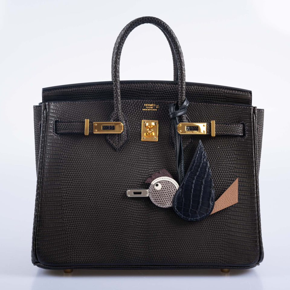 Hermes Birkin 25 Ebene Matte Salvator Lizard Gold Hardware