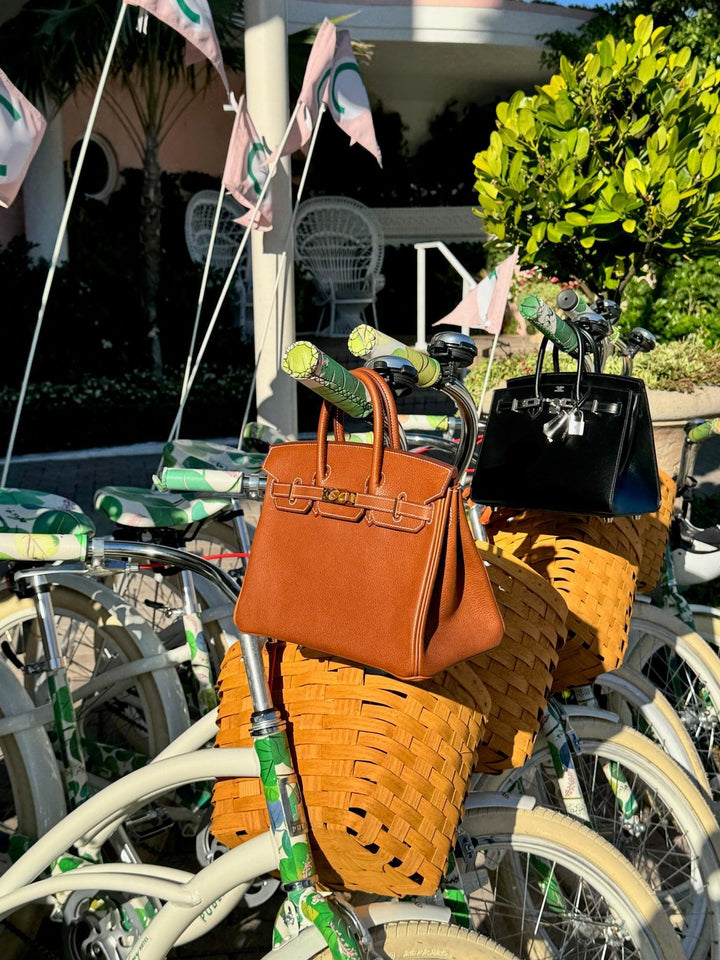 Hermes Birkin 25 Fauve Barenia Faubourg Gold Hardware