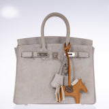 Hermes Birkin 25 Gris Doblis Suede with Palladium Hardware