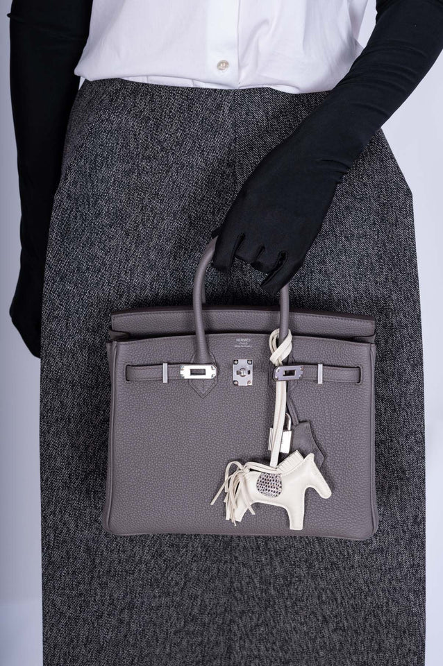 Hermes Birkin 25 Gris Etain Togo Palladium Hardware
