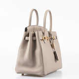 Hermes Birkin 25 Gris Tourterelle Togo Gold Hardware