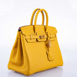 Hermes Birkin 25 Jaune Ambre Togo Gold Hardware