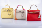 Hermes Birkin 25 Jaune Poussin Togo Palladium Hardware